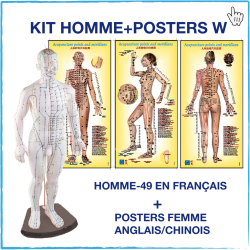 KIT modèle HOMME + Posters...