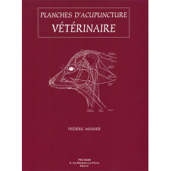 Planches d'Acupuncture...